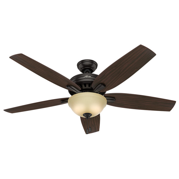 Hunter Fan 56 Newsome 5 Blade Ceiling Fan Light Kit Included