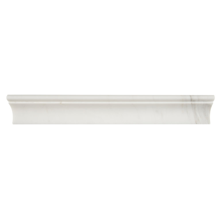 Msi Bianco Dolomite 12 X 2 Marble Chair Rail Tile Trim In White Reviews Wayfair