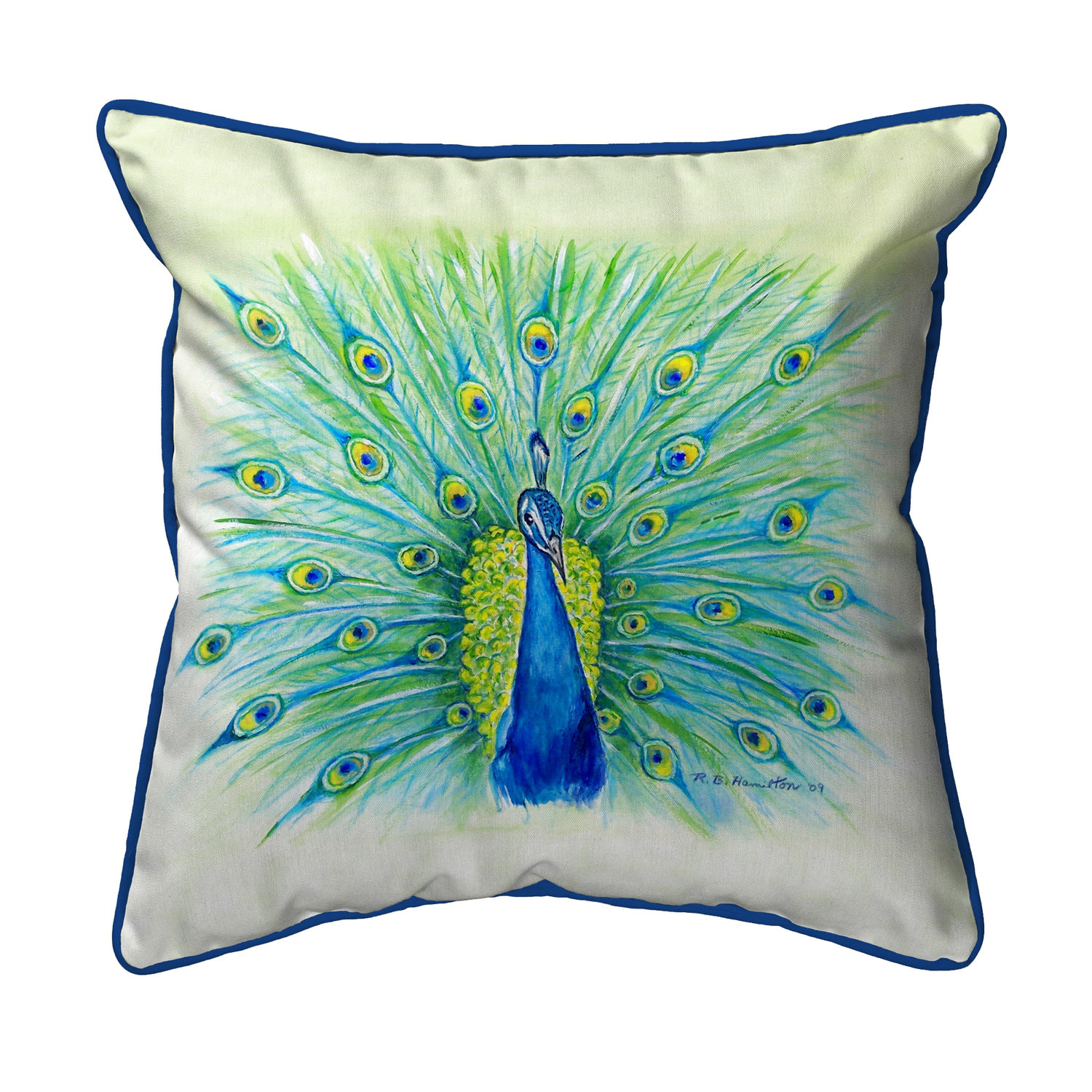 World Menagerie Lamson Peacock Indoor Outdoor Throw Pillow Reviews Wayfair