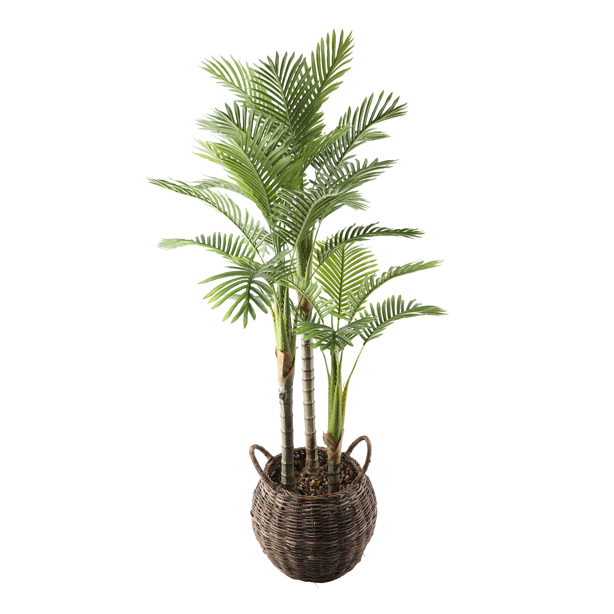 Primrue 62'' Faux Palm Tree in Basket Wayfair
