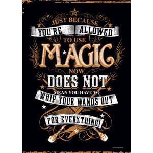 Harry Potter 'Whip Out Your Wand' Textual Art