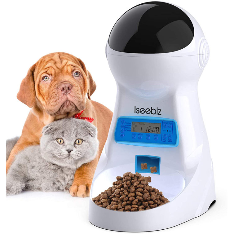 time release cat feeder