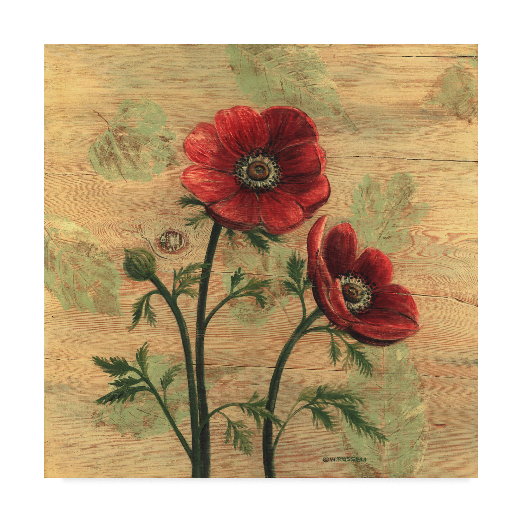 Charlton Home Anemone On Wood Acrylic Painting Print On Wrapped Canvas Wayfair