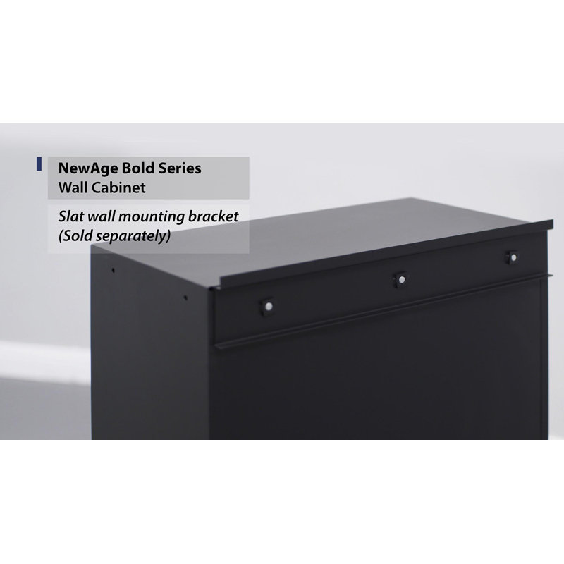 Newage Products Bold 3 0 Series 18 H X 24 W X 12 D Wall Cabinet