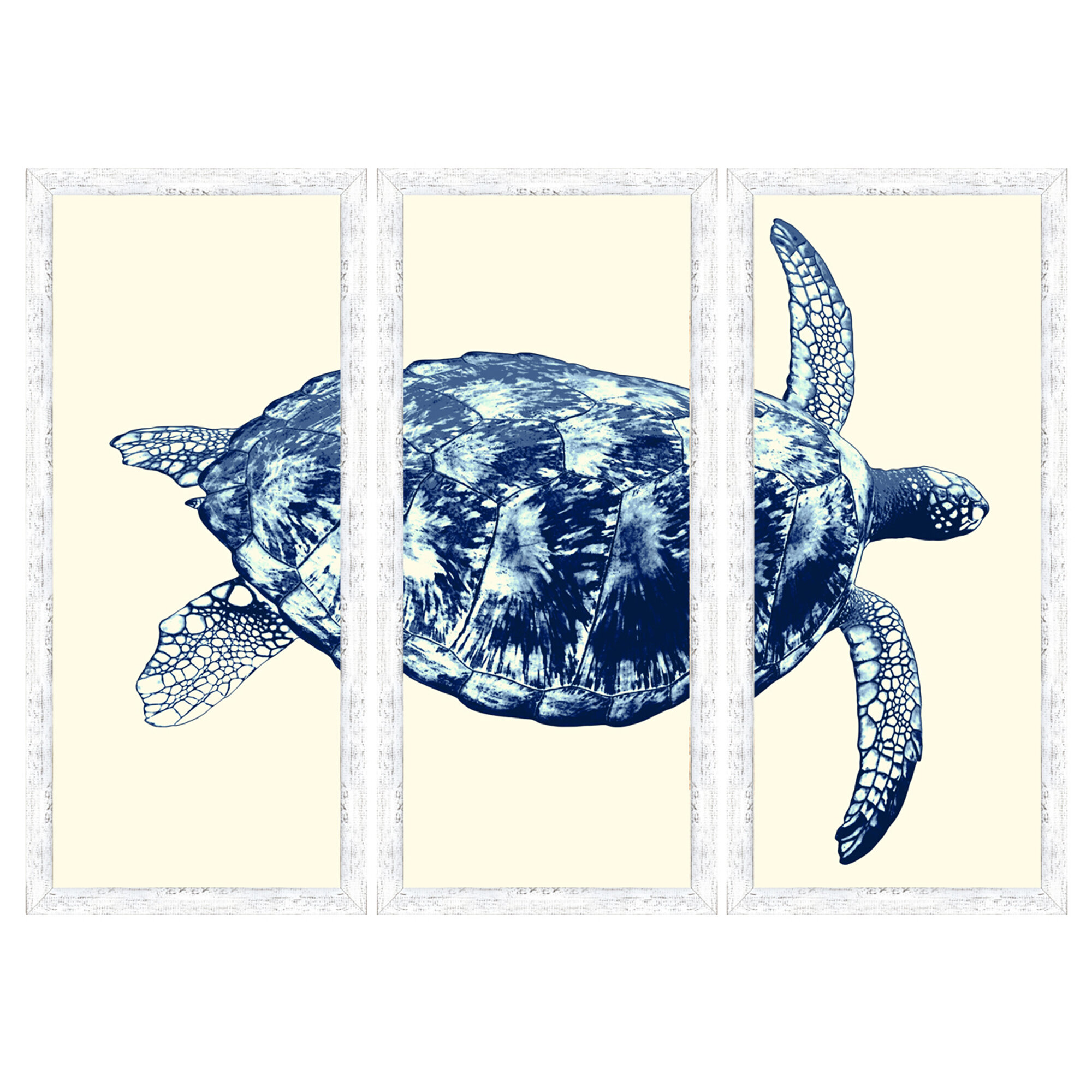 Beachcrest Home Sea Turtle 3 Piece Picture Frame Painting Print Set On Paper Reviews Wayfair Ca