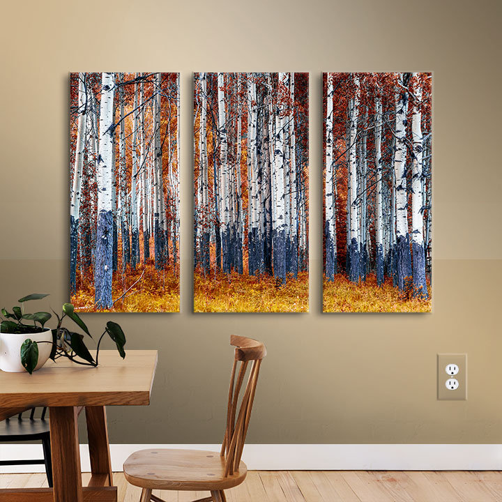 Red Barrel Studio Autumn Forest 3 Piece Photographic Print On Wrapped Canvas Set Reviews Wayfair