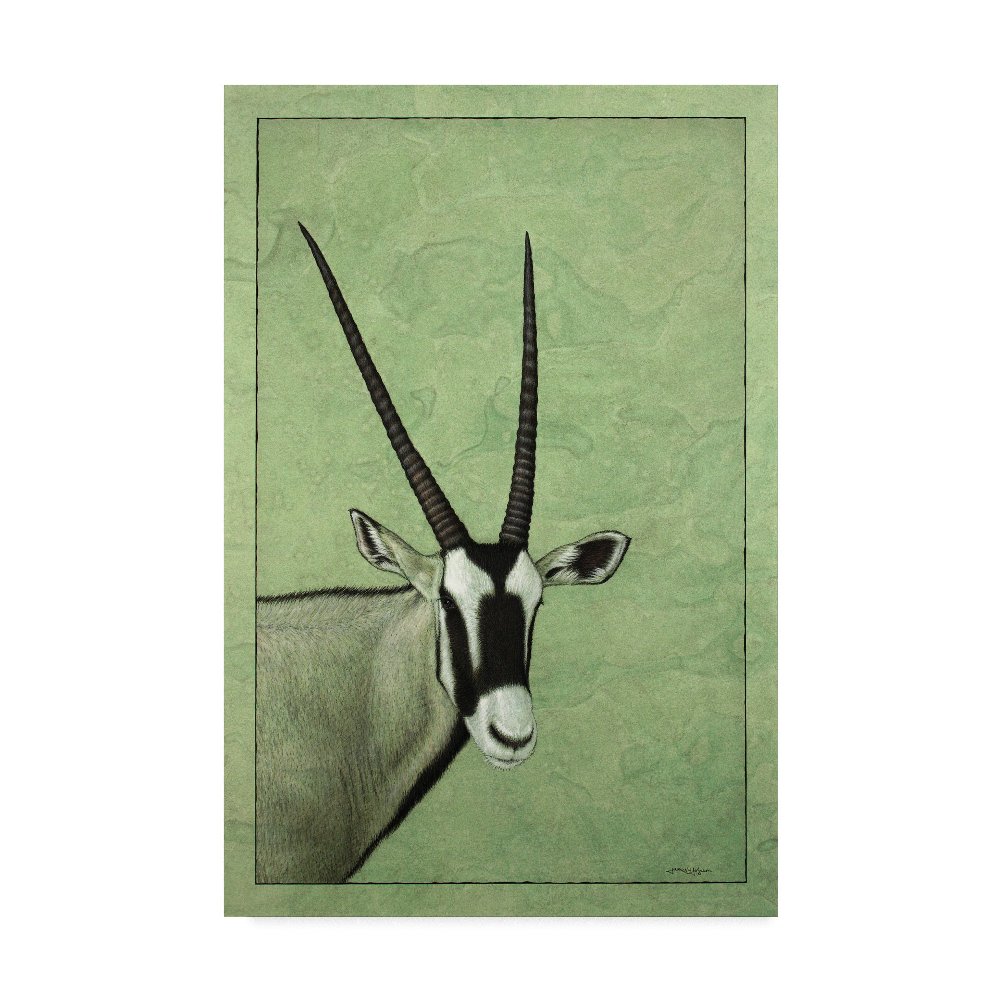 CANVAS Gemsbok Art print POSTER