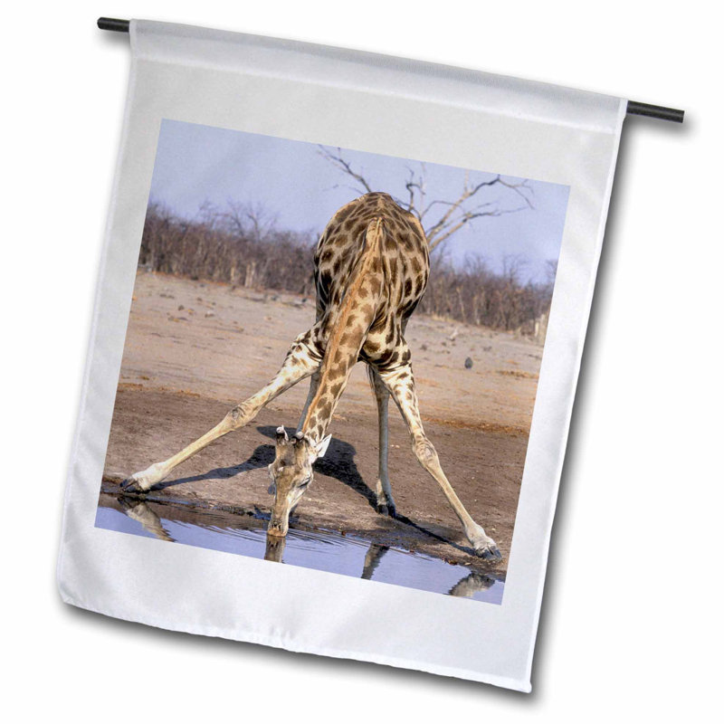 3drose Botswana Chobe Np Giraffe Water Hole Savuti Marsh Polyester 18 X 12 In Garden Flag Wayfair