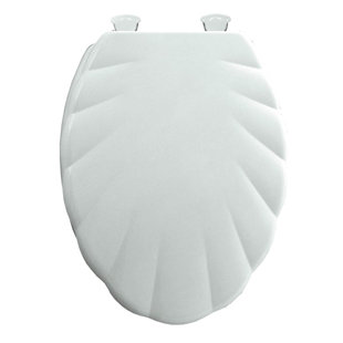 Shell Design White Plastic Toilet Seat
