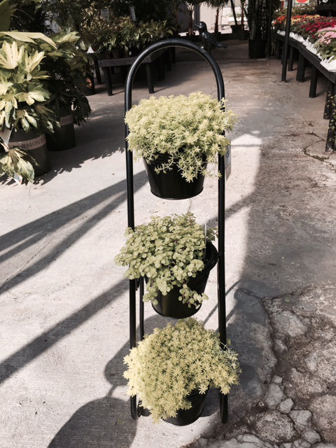 Herb Garden Etagere Plant Stand