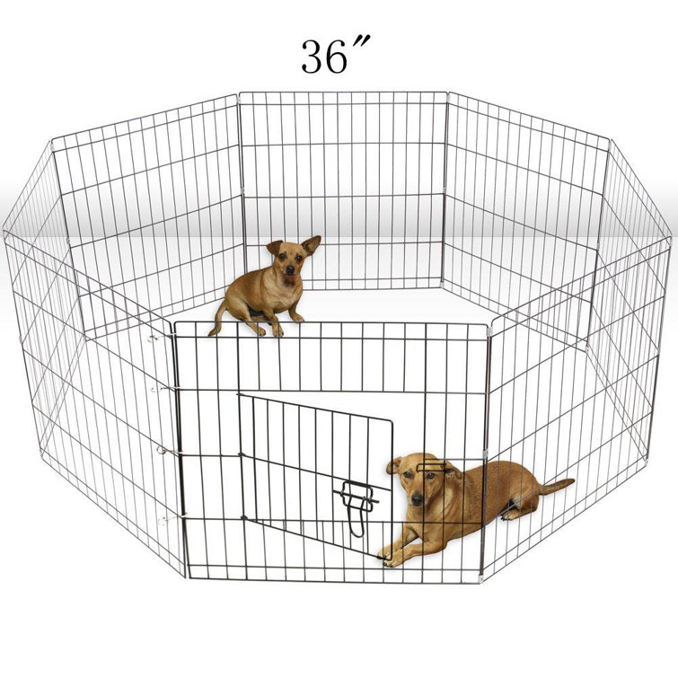 dogs pens for sale