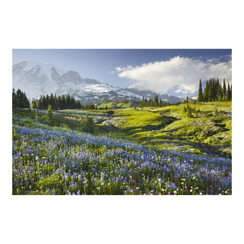 Flower Meadow in Front of Mt. Rainier 3.2m x 4.8m Textured Matt Peel & Stick Wall Mural East Urban Home