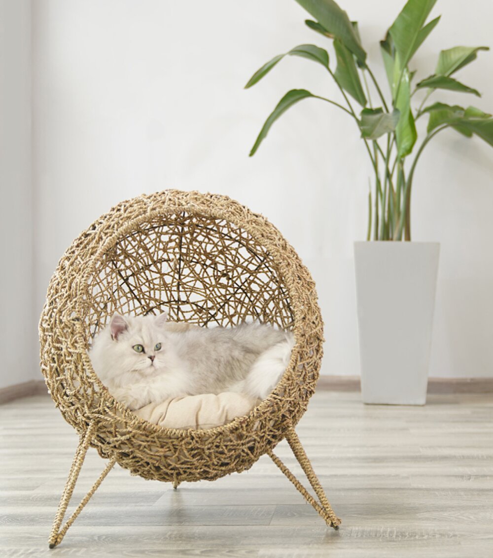 Tucker Murphy Pet Goodwin Designer Round Cat Bed Reviews Wayfair