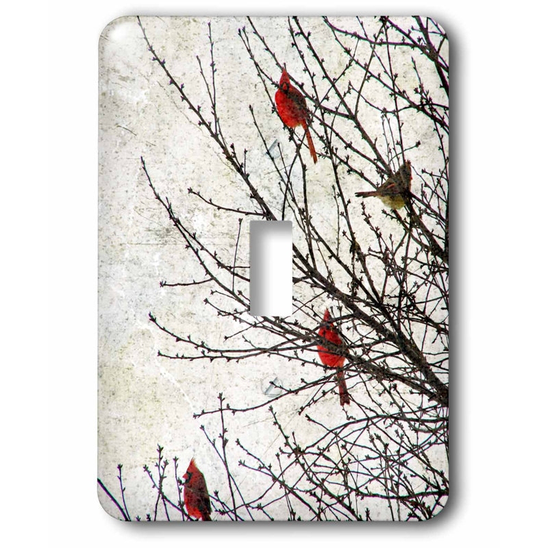3drose Switch Cardinals Photographed By Angelandspot 1 Gang Toggle Light Switch Wall Plate Wayfair