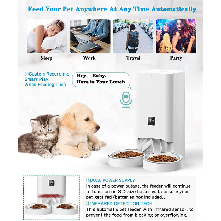 smart feeder multiple cats