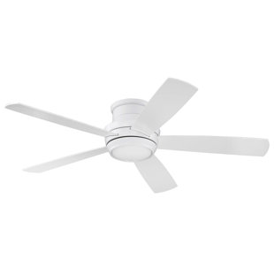 Modern Contemporary Ceiling Fans Allmodern