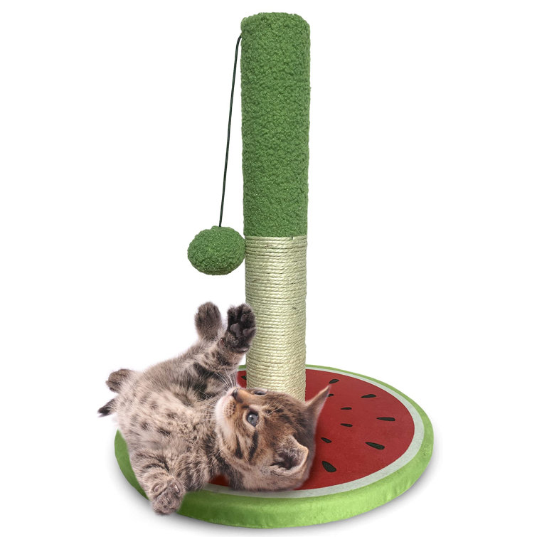 small cat scratcher
