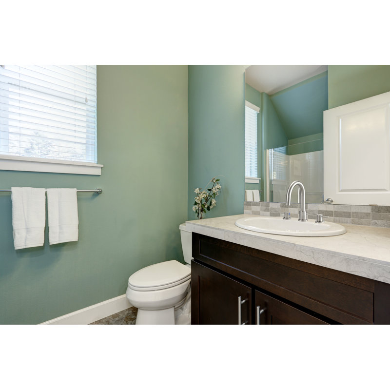 Ebern Designs Aspasia Centerset Wrist Blade Bathroom Faucet With Drain Assembly Wayfair