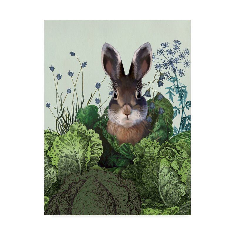 cabbage patch rabbit