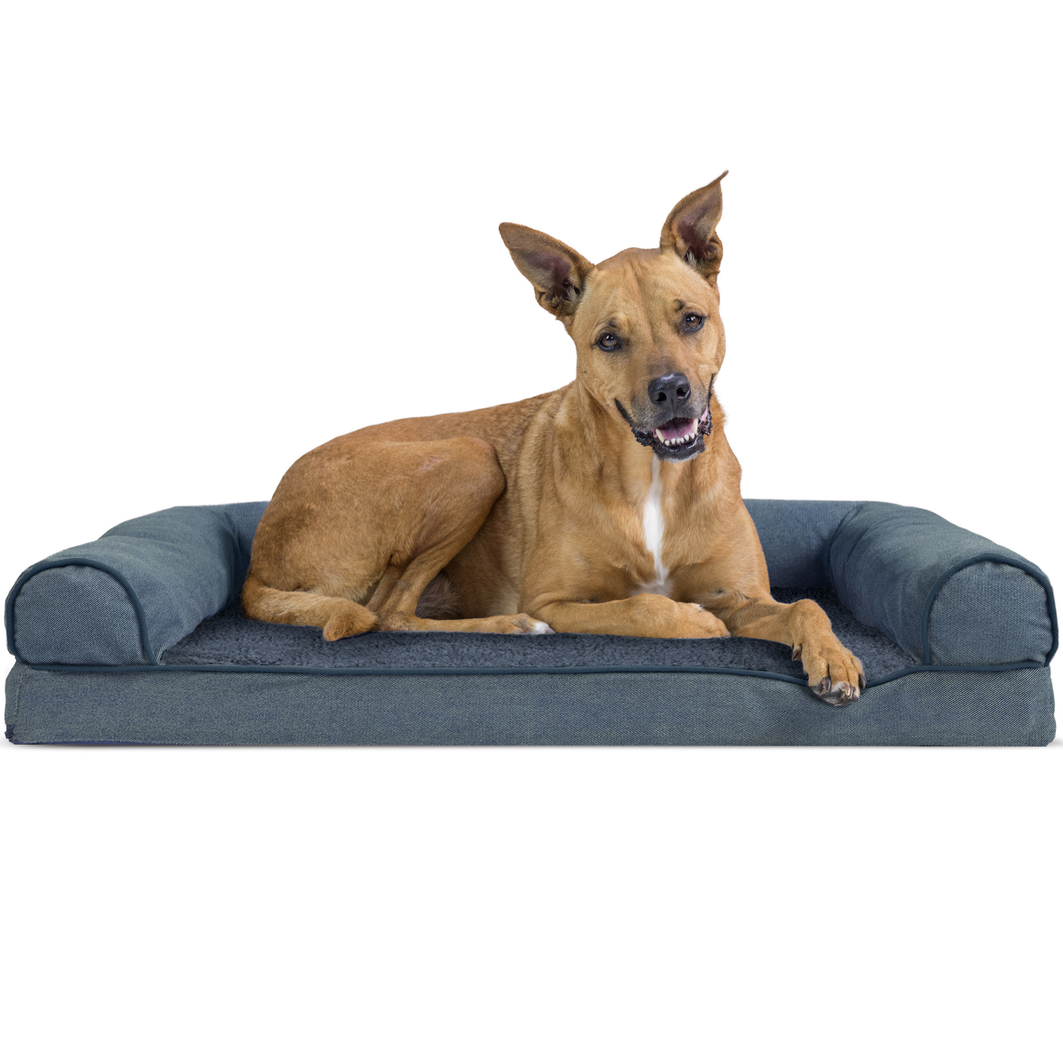 oval cushy dog sofa