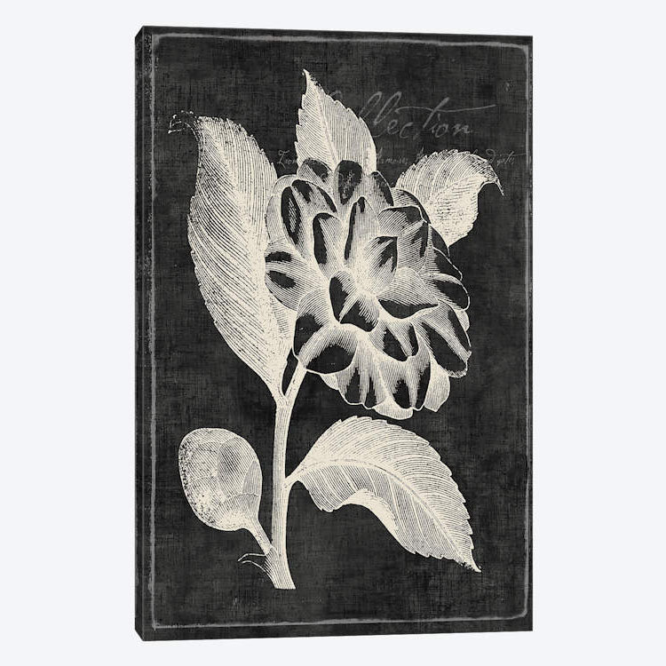 Black Botanical Ii Graphic Art Print On Canvas Joss Main