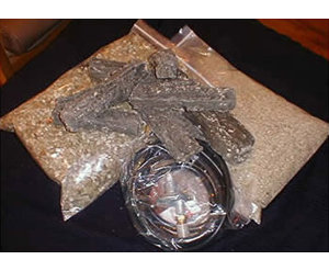 Gas Conversion Kit with 10 ft Hose