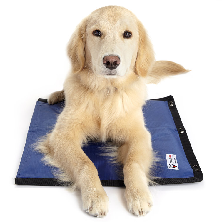 canine cooling mat