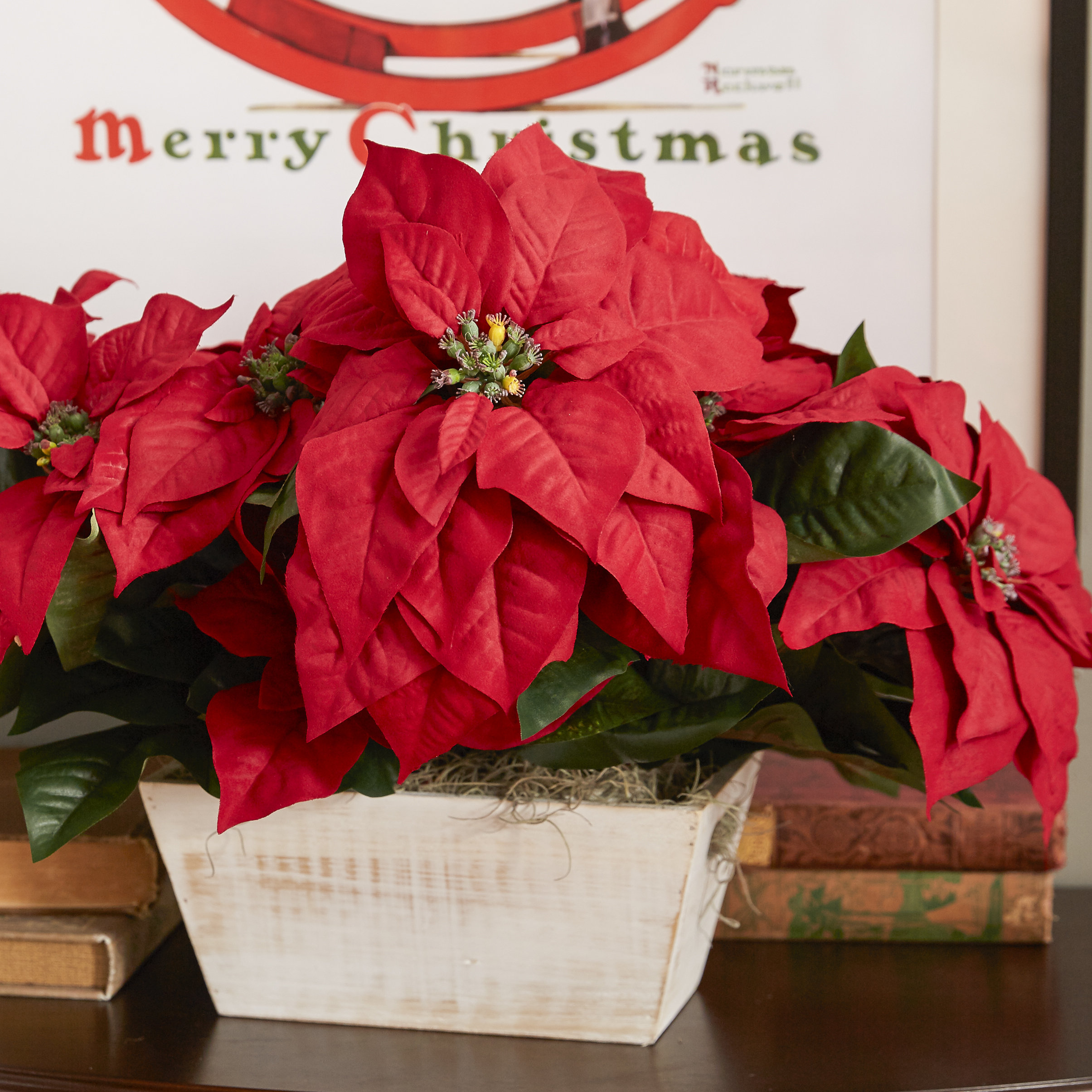 poinsettia floral arrangements