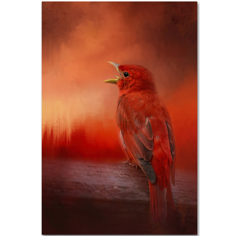 Trademark Art Sunset Song Graphic Art Print On Wrapped Canvas Wayfair