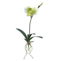 Silk Flowers Artificial Paphiopedilum  Lady Slipper Orchid 