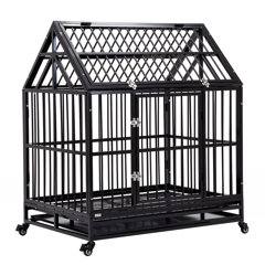 metal crate for dogs