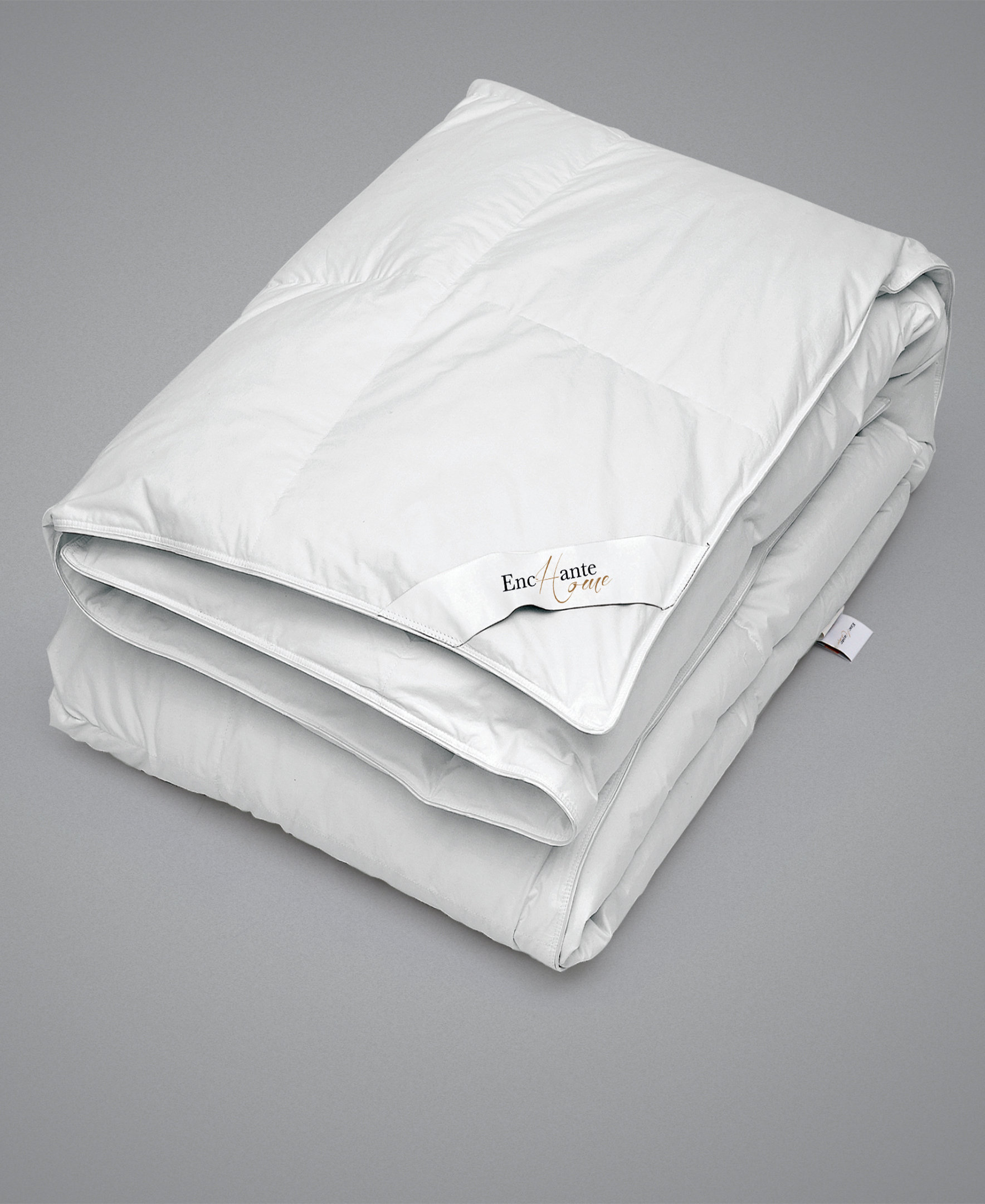 Alwyn Home Jameown Luxury European Winter Down Comforter Wayfair