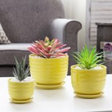 Ceramic Yellow Planters You Ll Love In 2021 Wayfair