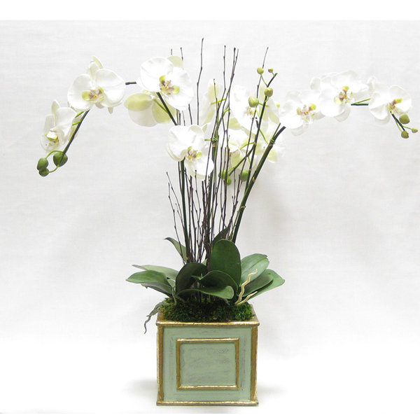 Bougainvillea Orchid Floral Arrangement In Wooden Square Container Perigold