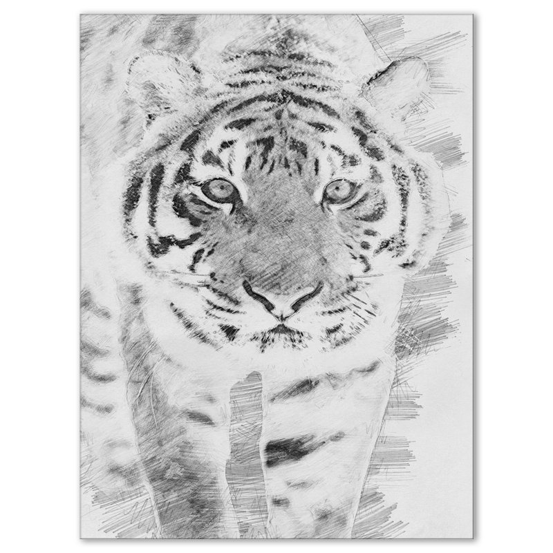 East Urban Home Black And White Tiger Drawing Print On Wrapped Canvas Wayfair