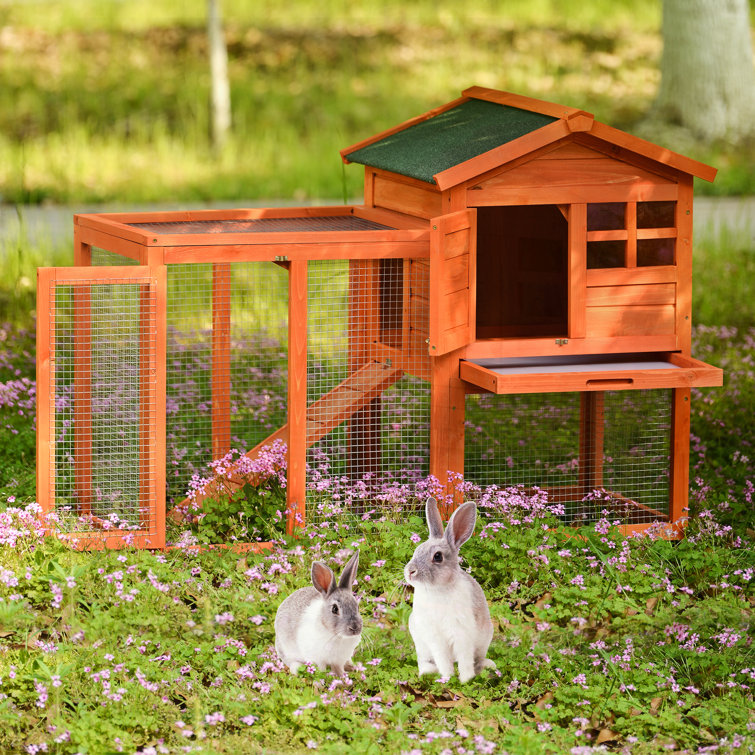 modular rabbit cage