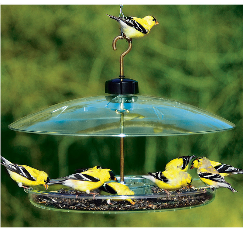 Droll Yankees Covered Platform Tray Bird Feeder Wayfair