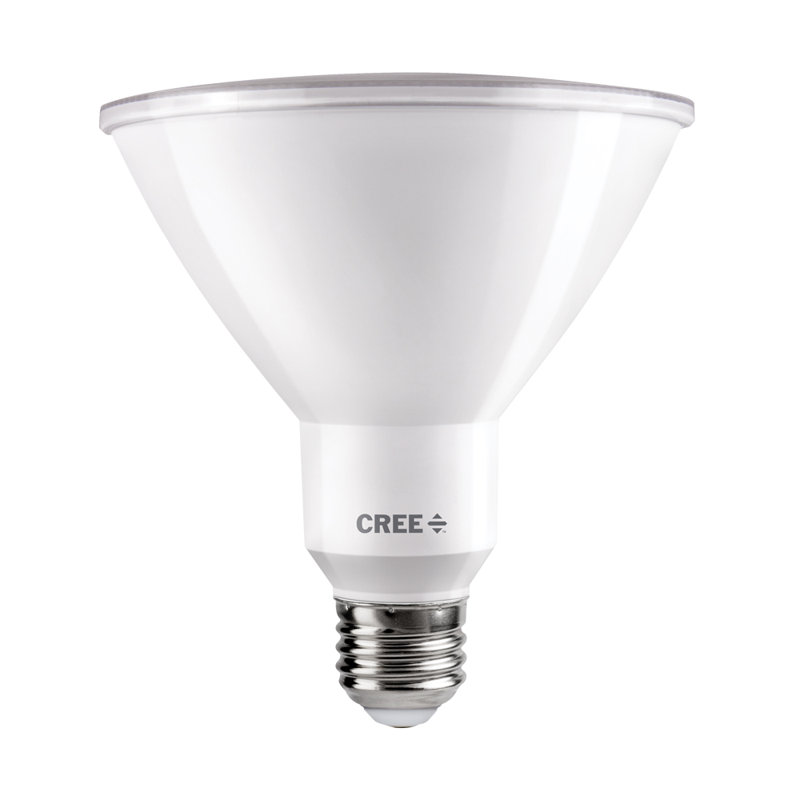 what does par38 led mean