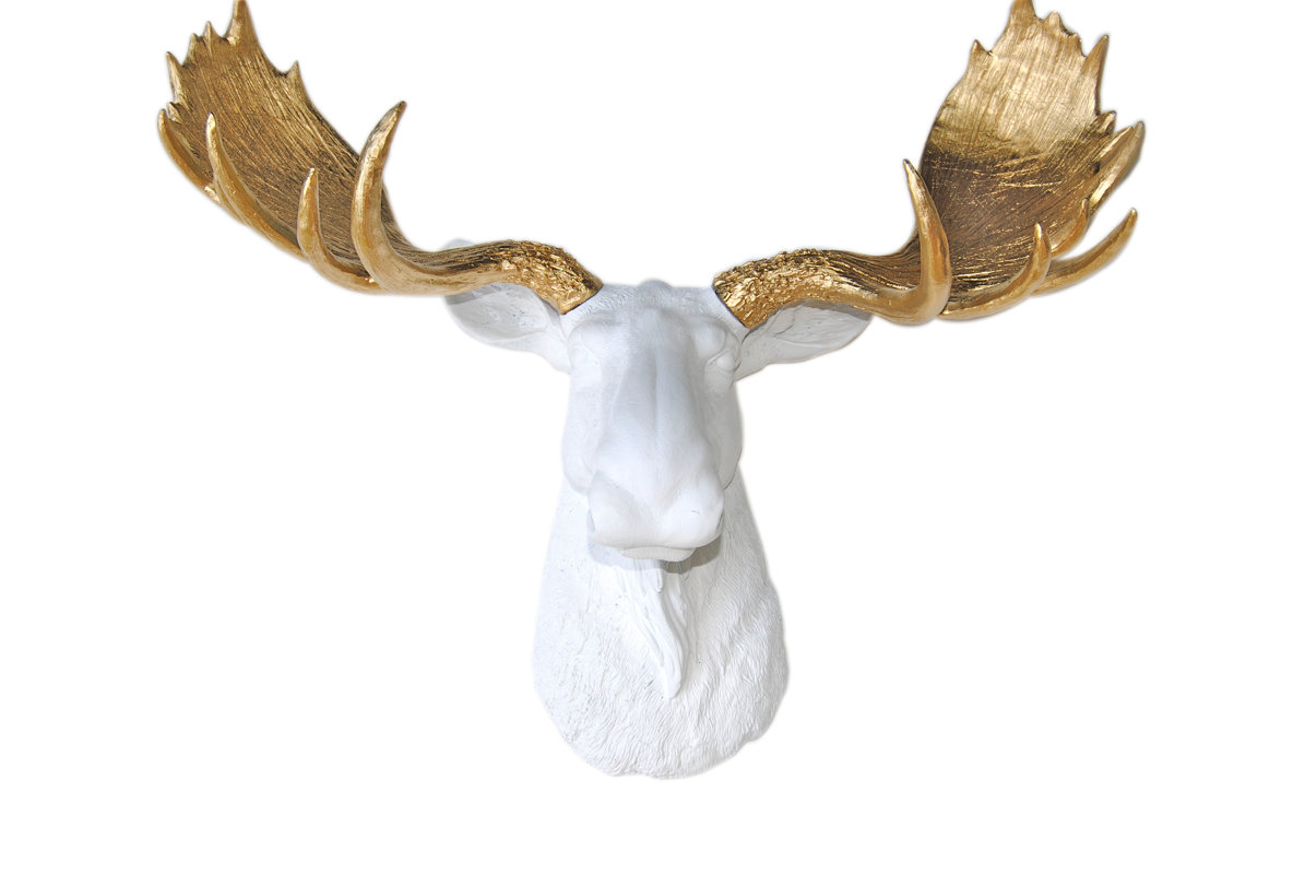 Moose Wall Decor near and deer head faux taxidermy moose wall décor & reviews | wayfair Moose Wall Decor near and deer head faux taxidermy moose wall décor & reviews | wayfair