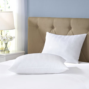 Wayfair Basics Gel Fiber Pillow (Set of 2)