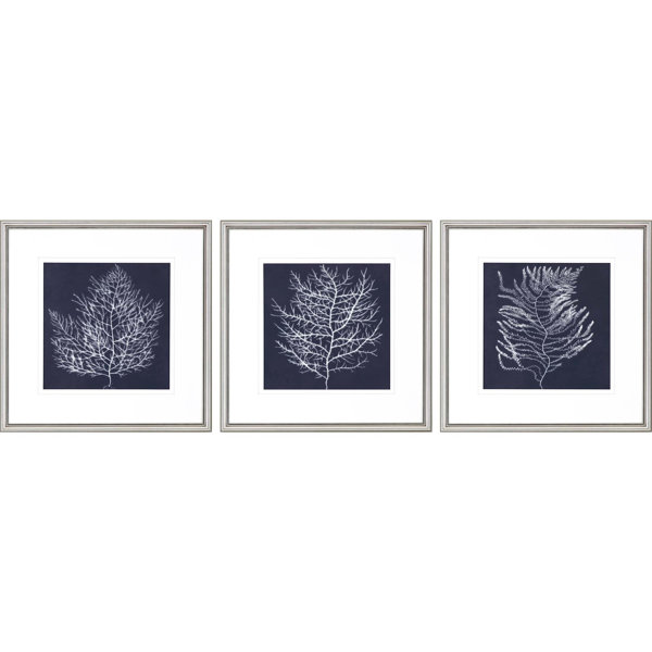 Navy And White Pictures Wayfair