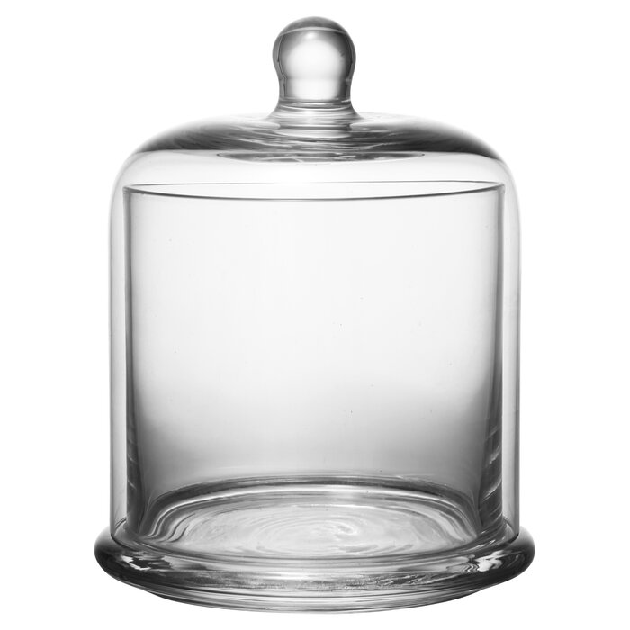 August Grove Payne Lidded Apothecary Jar Reviews Wayfair Ca