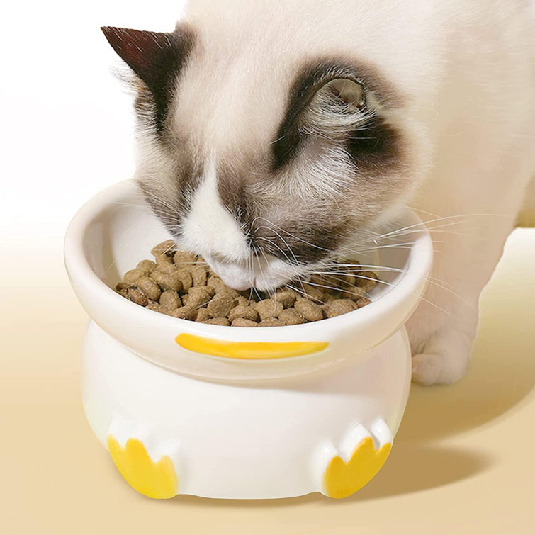 flat face cat bowl