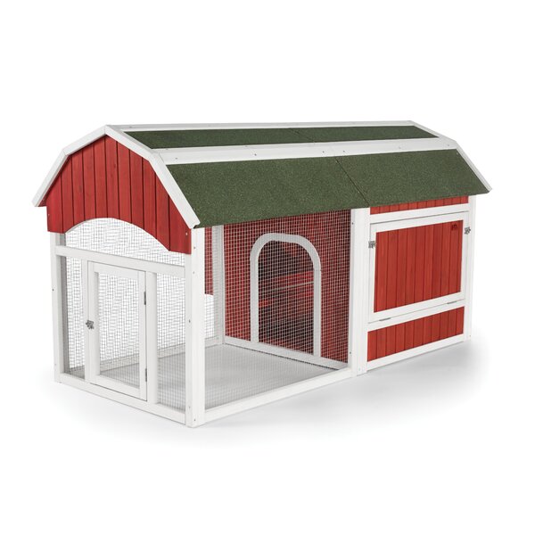 Innovation Pet Chicken Coop Ashishtomer