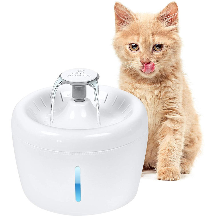 automatic dog watering system