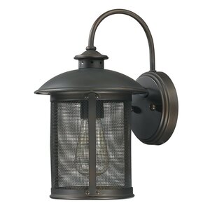 Calvin 1-Light Outdoor Wall Lantern