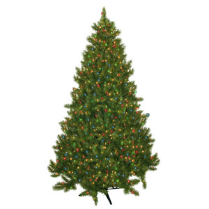 7.5' Evergreen Fir Artificial Christmas Tree with 700 Multicolored Lights