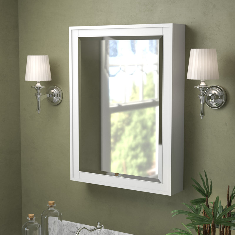Birch Lane™ Exley Surface Mount Framed 1 Door Medicine ...