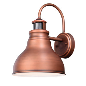 Delano Dualuxu00ae Brass 1-Light Outdoor Barn Light