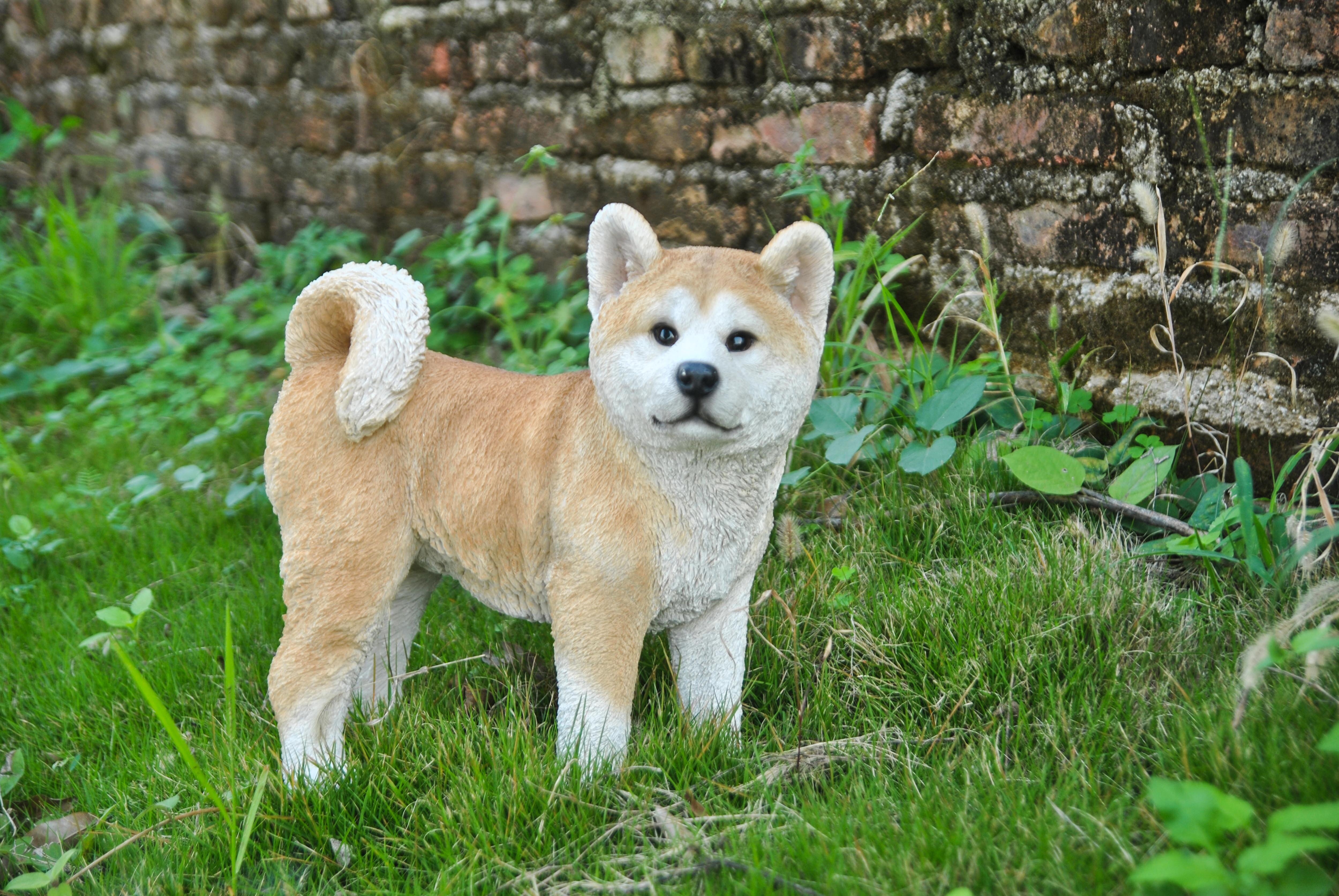 Hi-Line Gift Ltd. AKITA DOG STANDING STATUE & Reviews | Wayfair